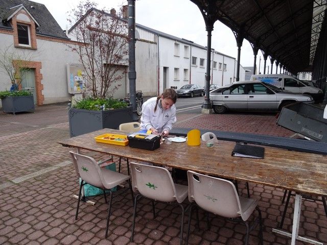 les blancs 2015 (1).jpg